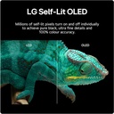 LG 55" OLED55B46LA OLED TV 4K - WebOS24, Magic Remote, HDR10