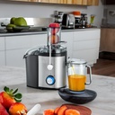 BLACK & DECKER JE800-B5 800W JUICE EXTRACTOR - STAINLESS STEEL